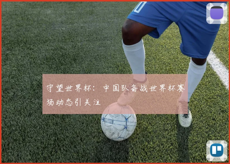 守望世界杯：中国队备战世界杯赛场动态引关注