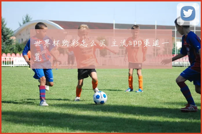世界杯购彩怎么买 主流app渠道一览