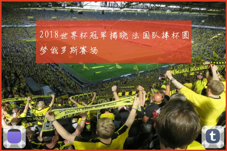 2018世界杯冠军揭晓 法国队捧杯圆梦俄罗斯赛场
