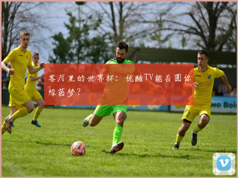 客厅里的世界杯：优酷TV能否圆你绿茵梦？