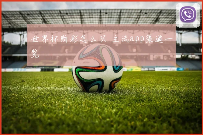 世界杯购彩怎么买 主流app渠道一览
