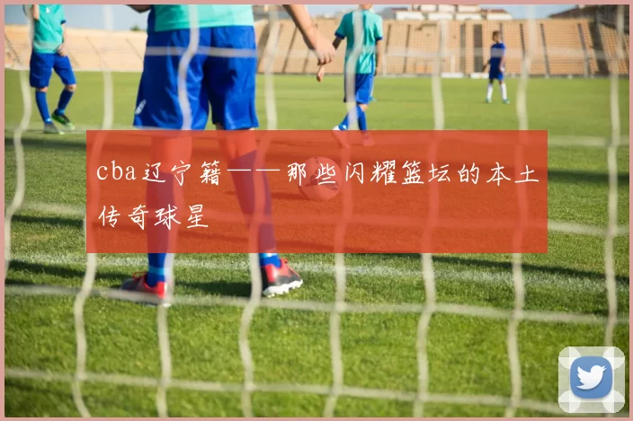 cba辽宁籍——那些闪耀篮坛的本土传奇球星