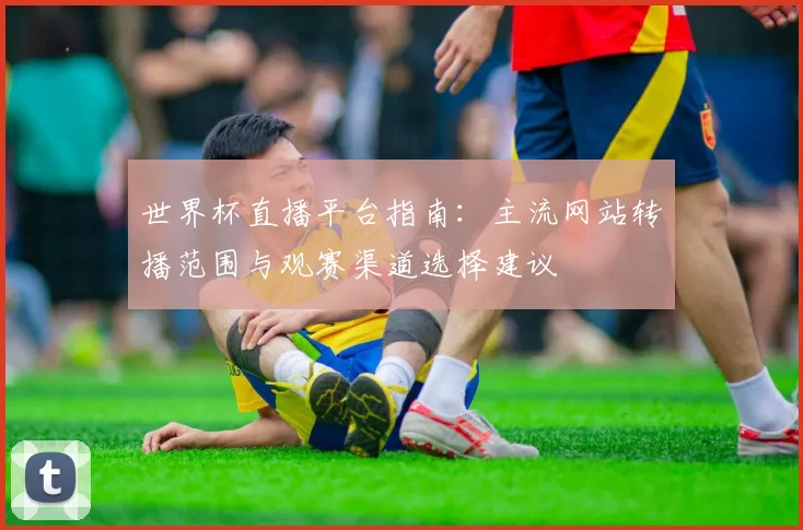 世界杯直播平台指南：主流网站转播范围与观赛渠道选择建议