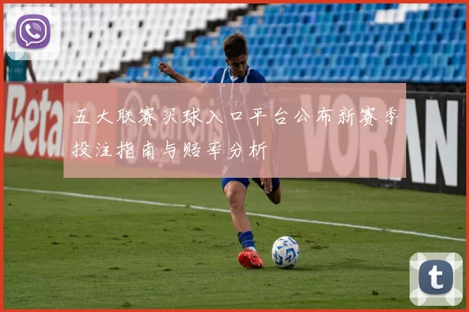 五大联赛买球入口平台公布新赛季投注指南与赔率分析