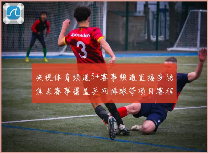 央视体育频道5+赛事频道直播多场焦点赛事覆盖乒网排球等项目赛程看点持续更新