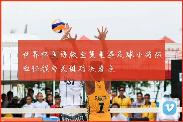世界杯国语版全集重温足球小将热血征程与关键对决看点