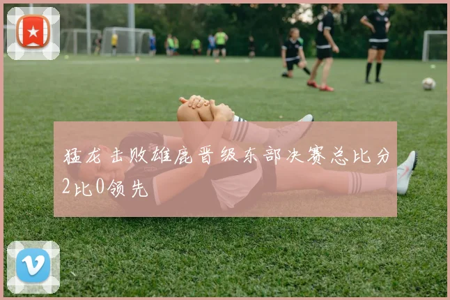 猛龙击败雄鹿晋级东部决赛总比分2比0领先