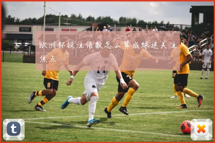 欧洲杯投注倍数怎么算成球迷关注焦点