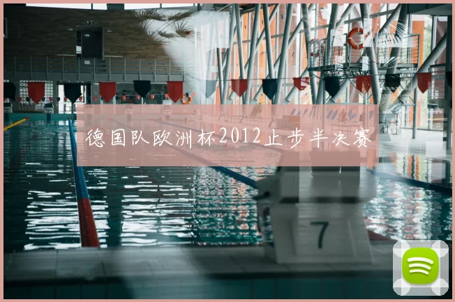 德国队欧洲杯2012止步半决赛