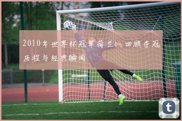 2010年世界杯冠军荷兰：回顾夺冠历程与经典瞬间