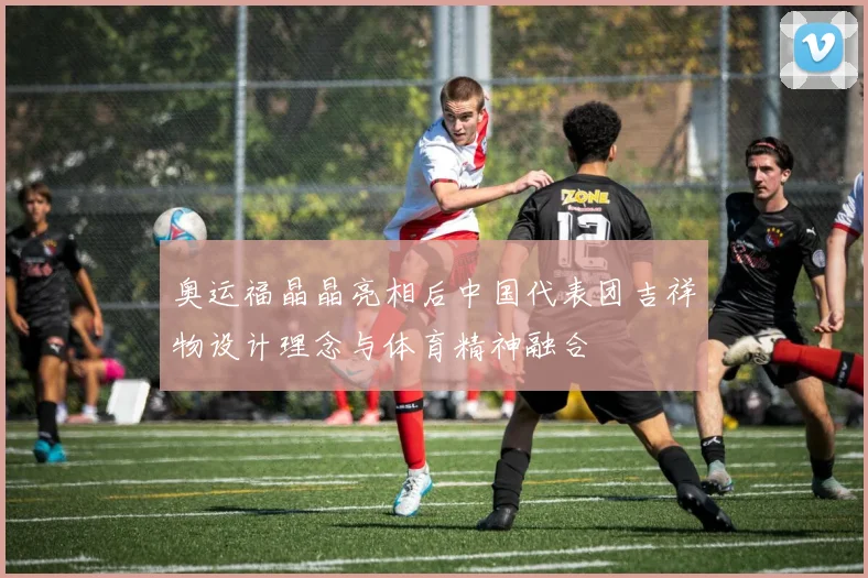 奥运福晶晶亮相后中国代表团吉祥物设计理念与体育精神融合