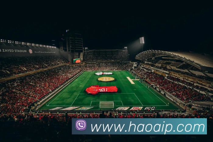 爱游戏app网页版入口APP 封面图